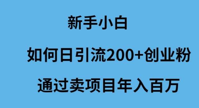 新手小白如何日引流200+创业粉通过卖项目年入百万-知创网