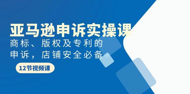 亚马逊-申诉实战课，商标、版权及专利的申诉，店铺安全必备-知创网