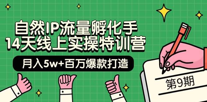 自然IP流量孵化手 14天线上实操特训营【第9期】月入5w+百万爆款打造 (74节)-知创网