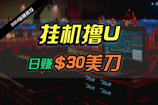 日赚30美刀，2024最新海外挂机撸U内部项目，全程无人值守，可批量放大-知创网