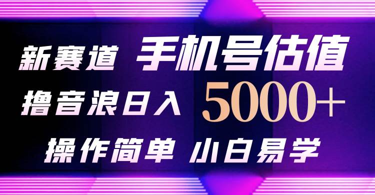 抖音不出境直播【手机号估值】最新撸音浪，日入5000+，简单易学，适合…-知创网