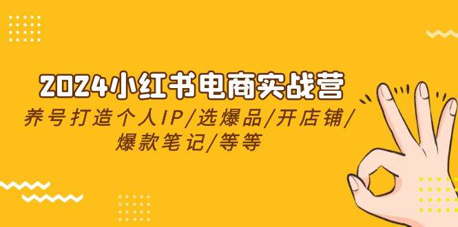 2024小红书电商实战营，养号打造IP/选爆品/开店铺/爆款笔记/等等（24节）-知创网