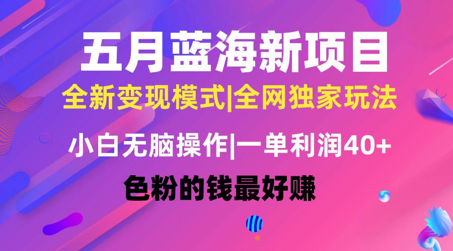 五月蓝海项目全新玩法，小白无脑操作，一天几分钟，矩阵操作，月入4万+-知创网
