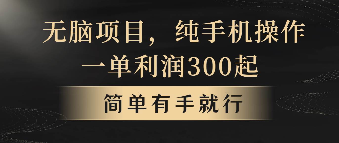 无脑项目，一单几百块，轻松月入5w+，看完就能直接操作-知创网