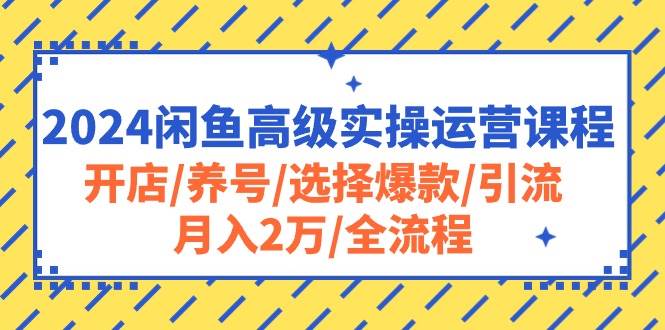2024闲鱼高级实操运营课程：开店/养号/选择爆款/引流/月入2万/全流程-知创网
