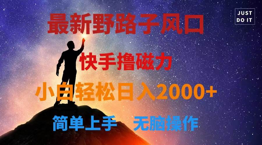 最新风口！快手撸磁力，野路子，小白无脑操作日入2000+-知创网