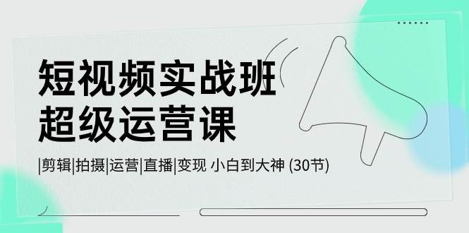 短视频实战班-超级运营课，|剪辑|拍摄|运营|直播|变现 小白到大神 (30节)-知创网