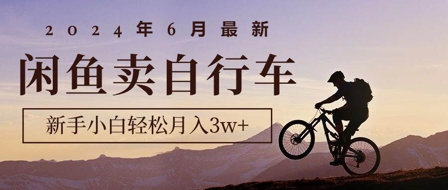 2024年6月最新闲鱼卖自行车，新手小白轻松月入3w+项目-知创网