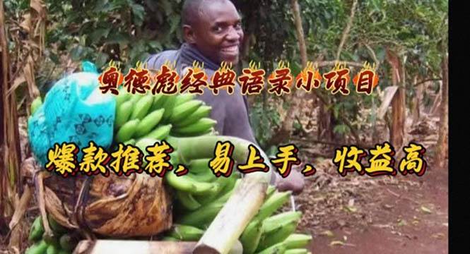 奥德彪经典语录小项目，爆款推荐，易上手，收益高-知创网