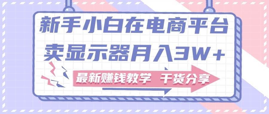 新手小白如何做到在电商平台卖显示器月入3W+，最新赚钱教学干货分享-知创网