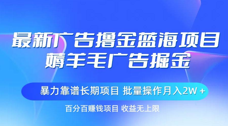 最新广告撸金蓝海项目，薅羊毛广告掘金 长期项目 批量操作月入2W＋-知创网