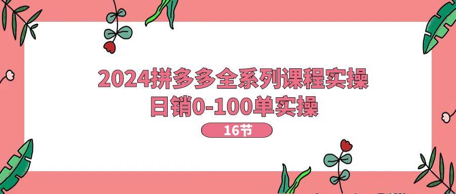 2024拼多多全系列课程实操，日销0-100单实操【16节课】-知创网