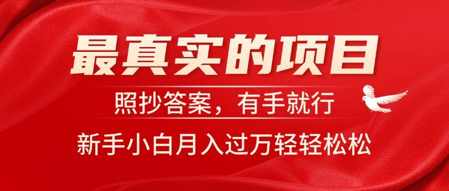 最真实的项目，照抄答案，有手就行，新手小白月入过万轻轻松松-知创网