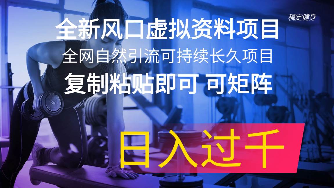 全新风口虚拟资料项目 全网自然引流可持续长久项目 复制粘贴即可可矩阵…-知创网