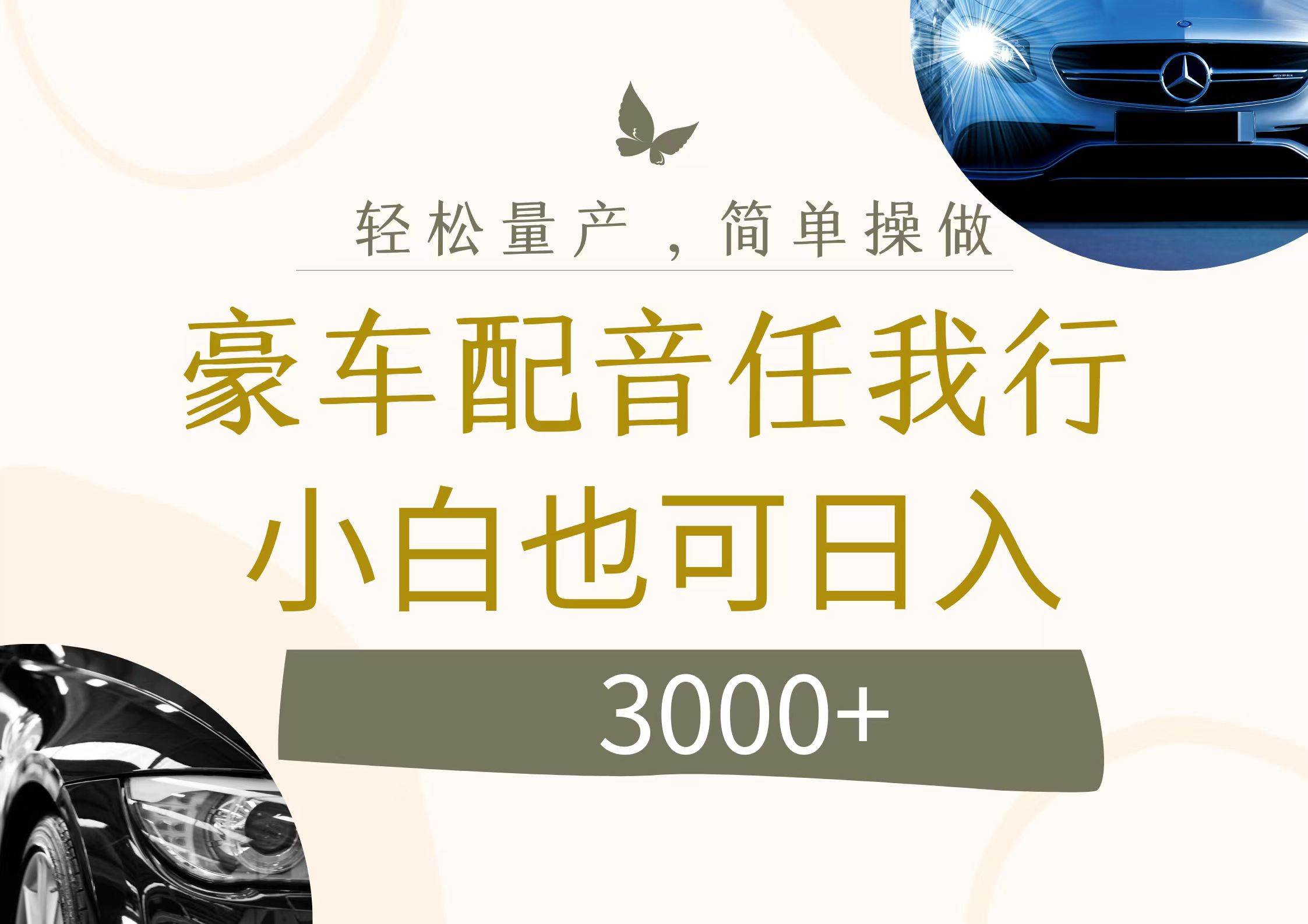 不为人知的暴力小项目，豪车配音，日入3000+-知创网